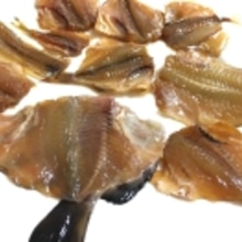 釣った魚でみりん干し いろんな魚で手作り レシピ 作り方 By ありんこ 楽天レシピ 釣った魚でみりん干し いろんな魚で手作り レシピ 作り方 By ありんこ 楽天レシピ